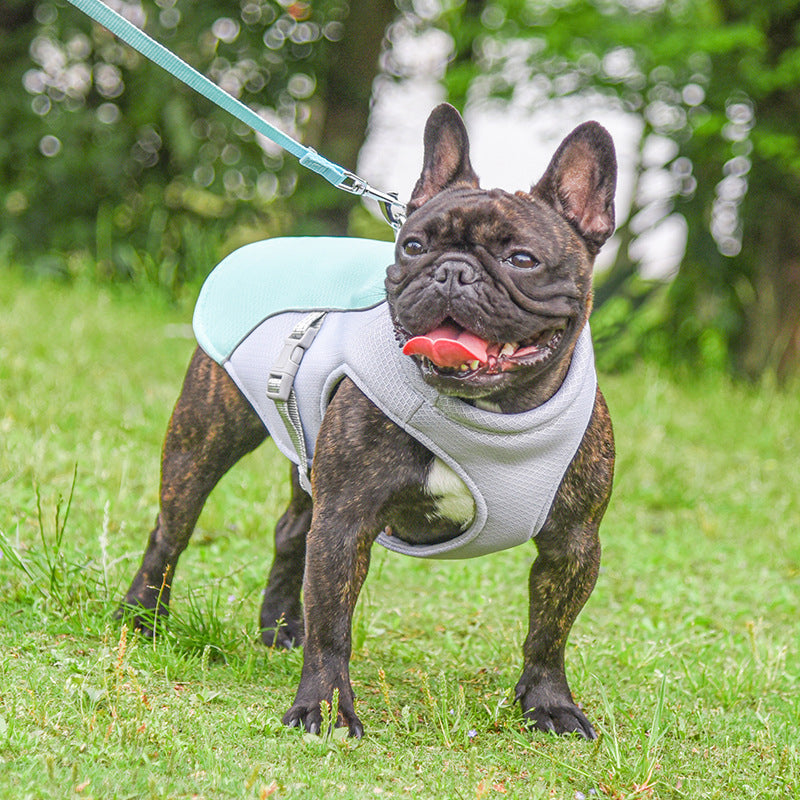 Pet Breathable Cooling Vest